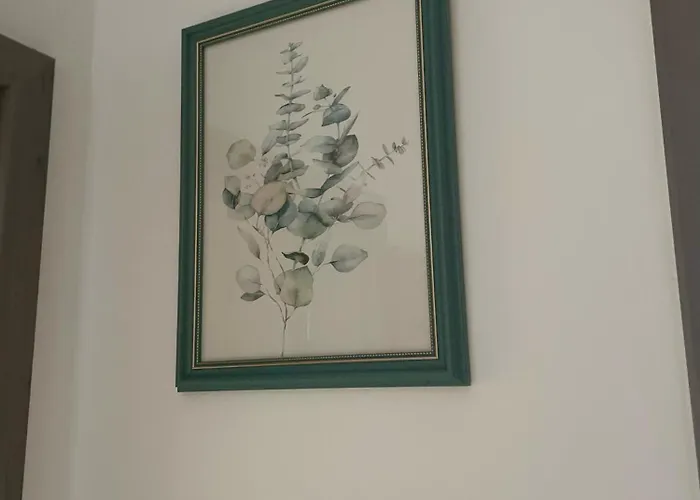 Greenlight By Cluj-Napoca